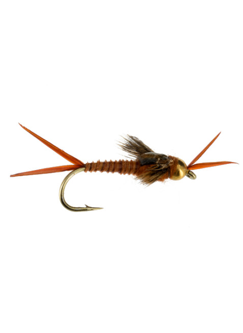 Beadhead Epoxy Stonefly : Dark