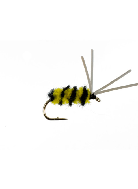Bluegill Spider : Bumblebee