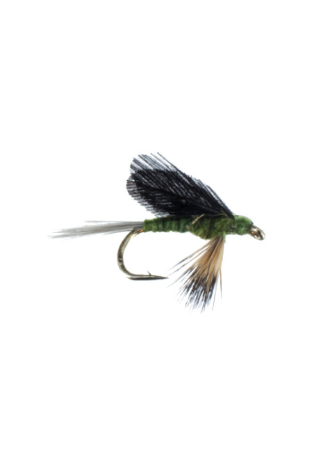 Burnt Wing-Blue Wing Olive