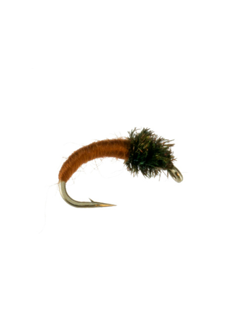 Caddis Larva : Brown
