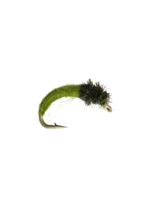 Caddis Larva : Dark Olive