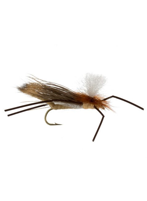 Carnage Attractor : Tan