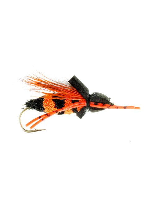 Cicada-Foam : Black + Orange