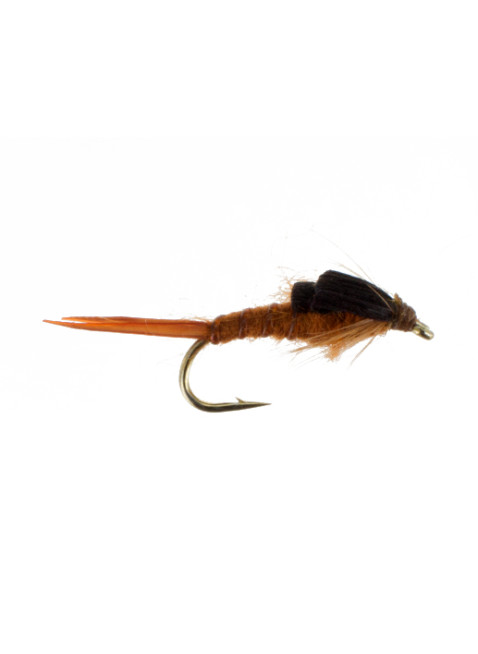 Early Brown Stonefly : Short Shank