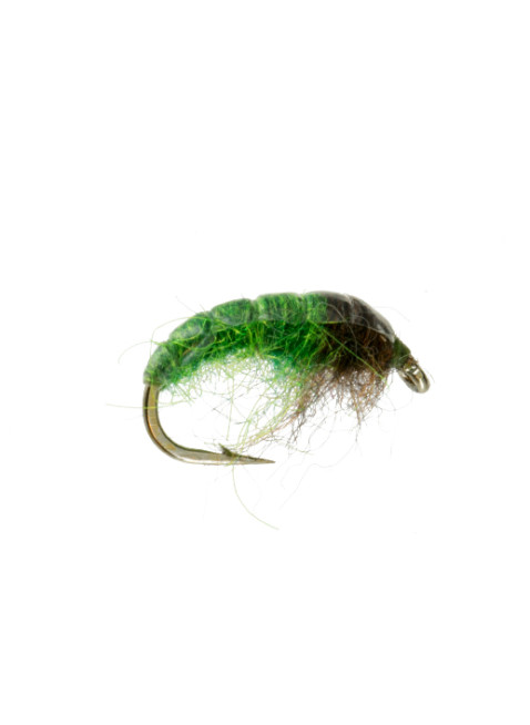 Electric Caddis