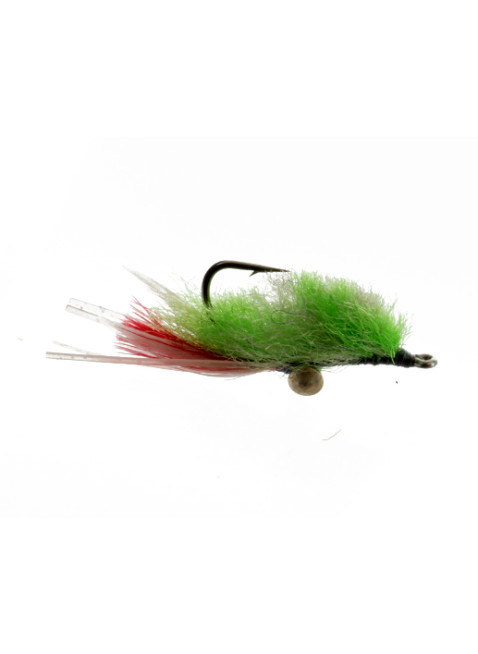 Ghostly Shrimp : Chartreuse