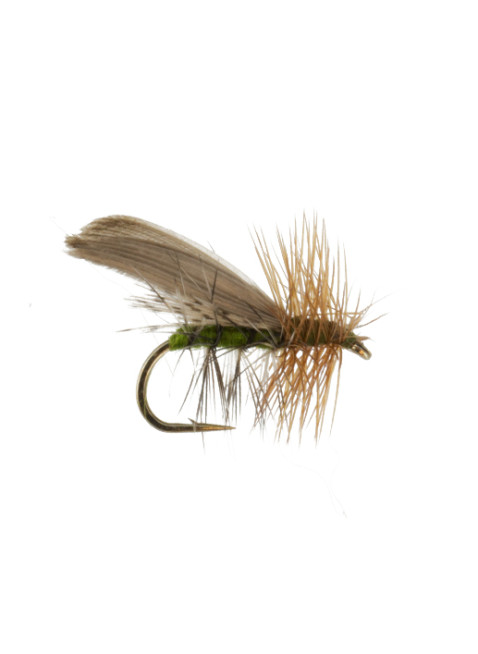 Henryville Caddis : Olive