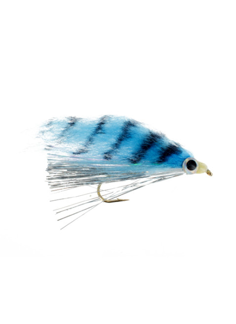 Hot Flash Minnow : Shad
