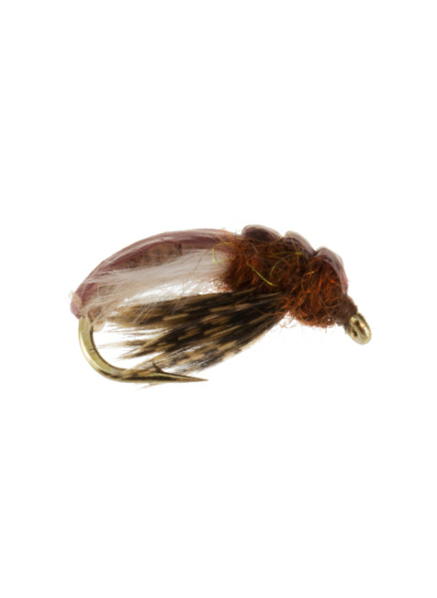 Hydropsyche Caddis Larva