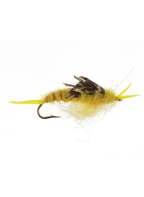 Kaufmann Stonefly : Golden