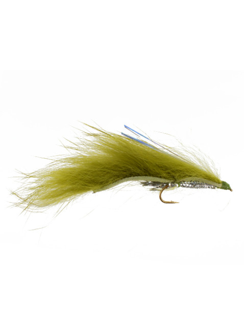 Kenai Special : Olive