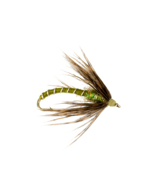 New School Soft Hackle : Olive