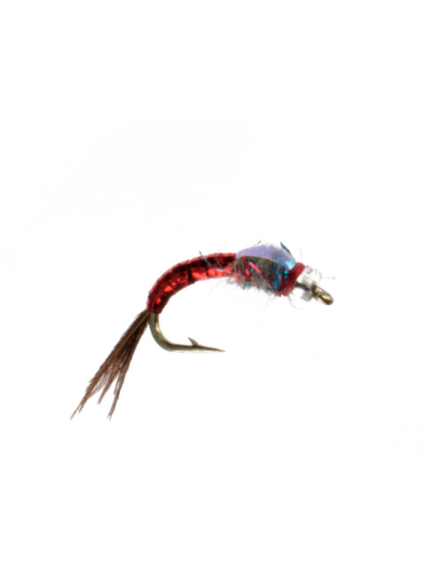 Rainbow Warrior : Red