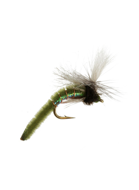 Spotlight Caddis : Olive