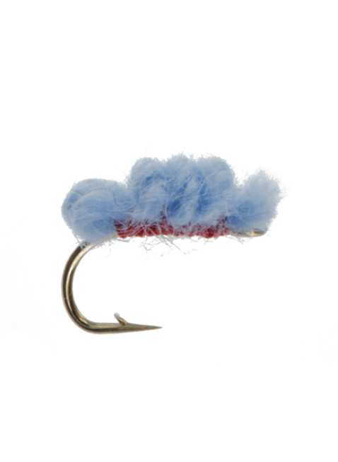 Sucker Spawn : Light Blue