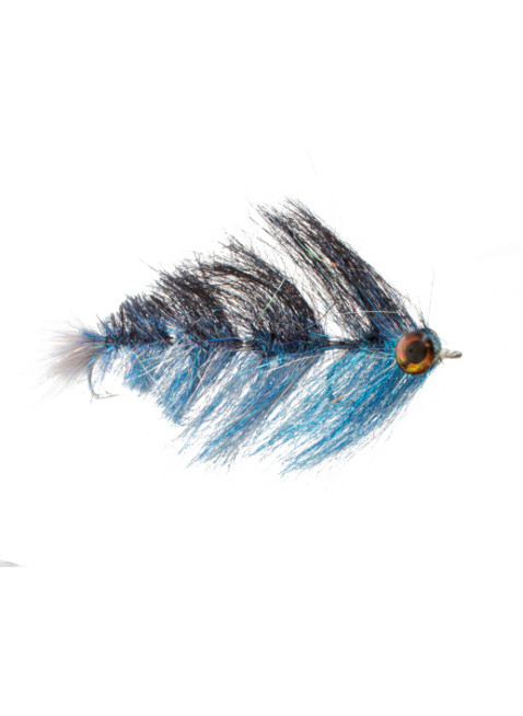 Swim Right : Black and Blue (Fish-Spine)