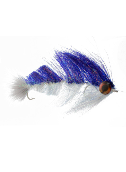 Swim Right : Purple/Blue (Fish-Spine)