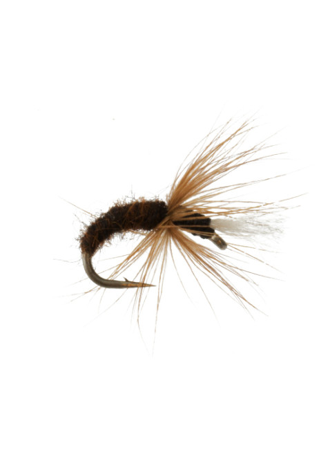 Tenkara Hisashi