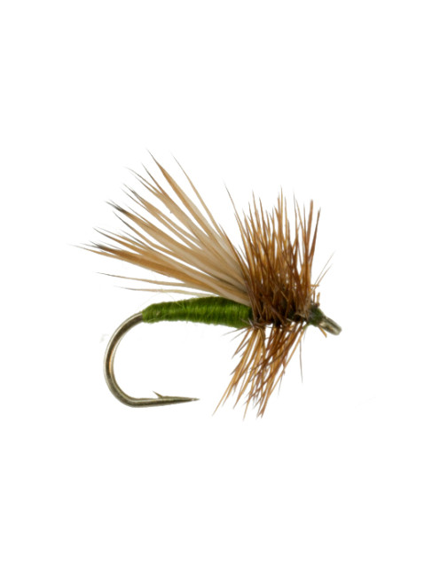 Tent Wing Caddis : Olive