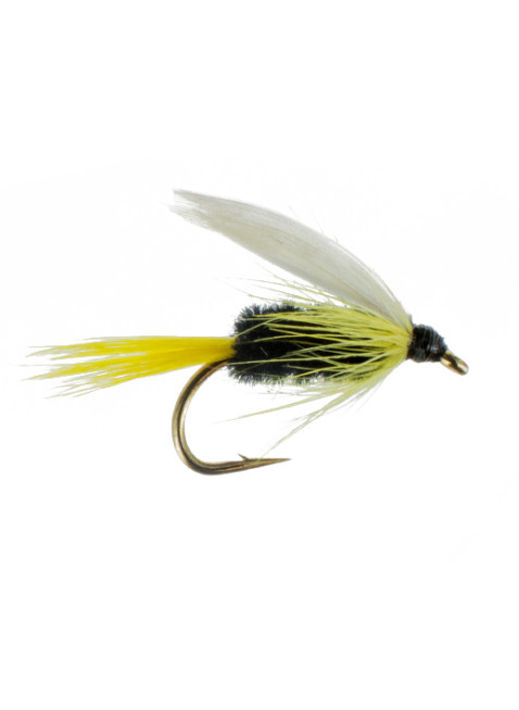 Wet Fly : Rio King