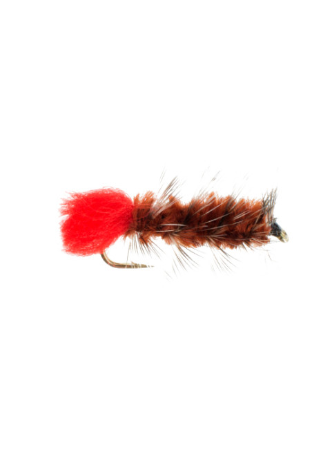 Woolly Worm : Brown