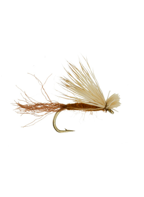 X Caddis : Brown