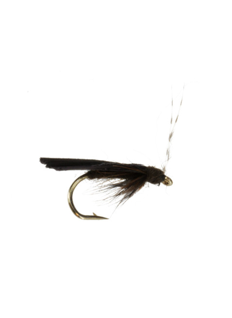 Zebra Caddis
