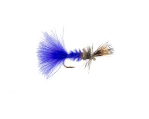 Cripple : Purple Haze