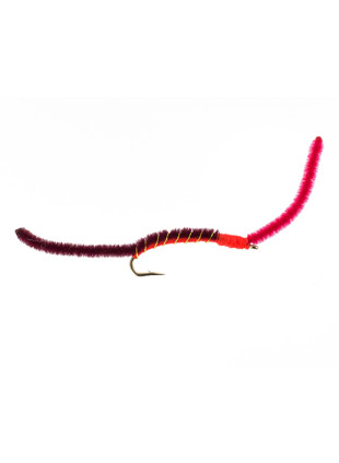 2 Tone San Juan Worm : Wine and Red