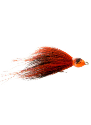 Flash Fish : Orange