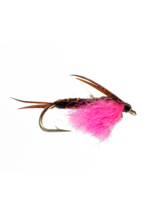 Hotspot Stonefly : Flourescent Pink