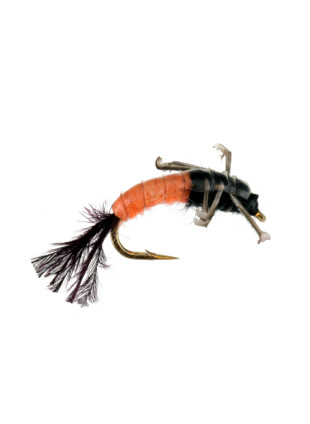 Jumbo Caddis : Orange