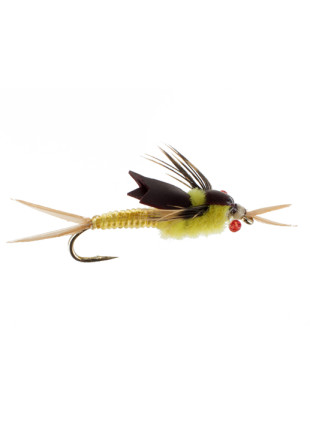 Latex Stonefly : Golden