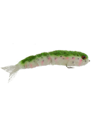 Name Changer : Rainbow Trout (Fish-Spine)