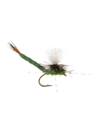 Say Ahh : Light Olive