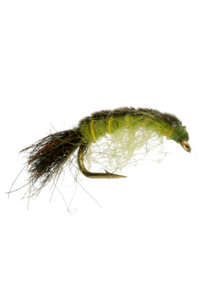 Thin Skin Caddis : Olive