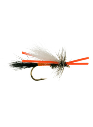 Trude Gunnison River