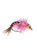 Beadhead Steelhead Stonefly : Pink