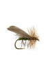 Henryville Caddis : Olive