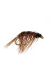 Shrimp #5