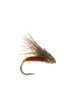 Streaking Caddis