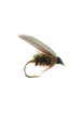 Wet Fly : Leadwing Coachman